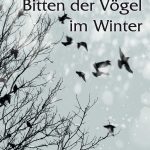 Die Freiburger Schriftstellerin Ute Bales ist für ihren neuen Roman „Bitten der Vögel im Winter“ mit dem Martha-Saalfeld-Literaturpreis 2018 des Landes Rheinland-Pfalz ausgezeichnet worden.